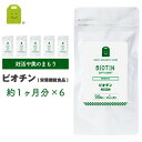 ビオチン サプリメント ビタミンH 栄養機能食品1日500mcg ビオチン サプリ biotin 皮膚や粘膜の健康維持を助ける栄養素 ビタミン類 ビオチン 健康維持 ビタミン群 ビオチン配合 90粒×6袋 約6ヶ月分 メール便送料無料 お守りサプリ ギフト 福袋 楽天 母の日