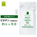 お徳用バーゲン ビオチン サプリメント ビタミンH 栄養機能食品1日500mcg ビオチン サプリ 90粒 約6 ヶ月分 biotin 皮膚や粘膜の健康維持を助...