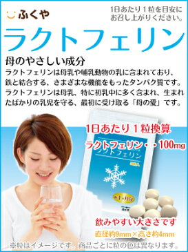 ラクトフェリン サプリメント 1粒100mg配合 乳酸菌 ヨーグルト 食物繊維 (90粒 約3ヶ月分) やせ菌 痩せ菌 ダイエット 即日発送 ラクトフェリン サプリ 食品チーズ lactoferrin supplement あす楽対応 妊活 お守りサプリ