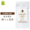 レンコン サプリメント (約1ヶ月分・60粒)【メール便送料無料】 れんこん サプリ 食物繊維 蓮根 lotus root supplement ポリフェノール ダイエット diet 【RCP】 楽天 お守りサプリ