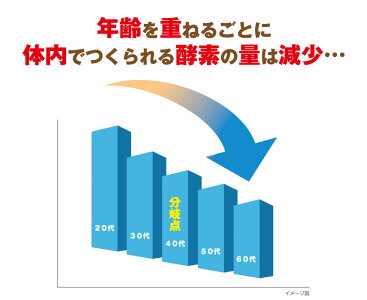 活きた酵素サプリメント(約3ヶ月分・90粒)1粒200mg酵素サプリ送料無料こうじ酵素サプリ麹酵素こくもつ酵素dietsupplement無菌麹製法穀物健康維持酵素配合生酵素人気ダイエットサプリメント楽天お守りサプリ