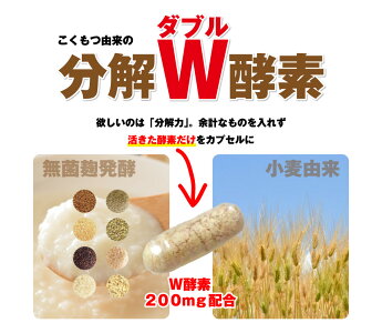 活きた酵素サプリメント(約3ヶ月分・90粒)1粒200mg酵素サプリ送料無料こうじ酵素サプリ麹酵素こくもつ酵素dietsupplement無菌麹製法穀物健康維持酵素配合生酵素人気ダイエットサプリメント楽天お守りサプリ
