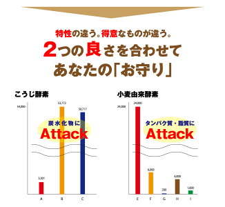 活きた酵素サプリメント(約3ヶ月分・90粒)1粒200mg酵素サプリ送料無料こうじ酵素サプリ麹酵素こくもつ酵素dietsupplement無菌麹製法穀物健康維持酵素配合生酵素人気ダイエットサプリメント楽天お守りサプリ