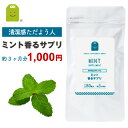 ＼1000円ポッキリ／ ミント フレグランス サプリ 発酵性食物繊維 イヌリン プレバイオティクス 食べるサプリ ダイエット サプリメント ペパーミント フレーバー mint supplement その他/ローズ/バニラ/グレープフルーツ 約3ヶ月分 福袋 楽天お買い物マラソン