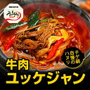 【冷東】ハヌリ特製ユッケジャン 550g　(春雨付き)