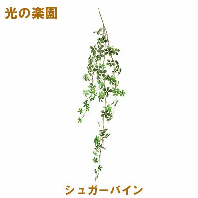 期間限定 ポイント5倍【個人様購入可能】●光の楽園 (2357A45-69) シュガーバイン 送料無料 95119