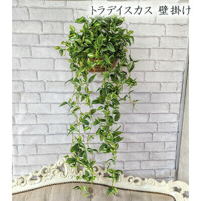 ڸĿ͹ǽۡ ȥǥ ɳݤ (gkp-1) ¤ ͹ տʪ ե꡼ ̵ 94283