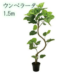 【個人様購入可能】● ウンベラータ 1.5m (fg5229) 造花 人工 観葉植物 フェイクグリーン 送料無料 94288