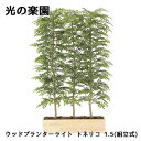 【ポイント5倍 期間限定】【個人様購入可能】● 光の楽園 (2611A1300) ウッドプランター ライト トネリコ 1.5(組立式) 造花 人工 観葉植物 フ...