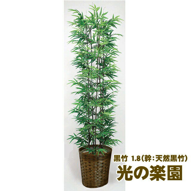 楽天 スーパーSALE期間 10%OFF 【個人様購入可能】●光の楽園 (775A450-33) 黒竹 1.8（幹：天然黒竹) 送料無料 93701