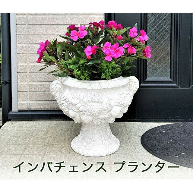 今だけ！ポイント5倍 【個人様購入可能】●インパチェンス プランター ［ cck-540 ］ 送料無料 93820