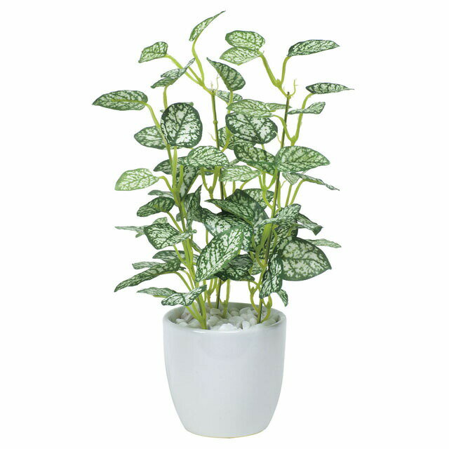 【個人様購入可能】●光の楽園 (525A25-65) ミニピポエスタポット 送料無料 92561