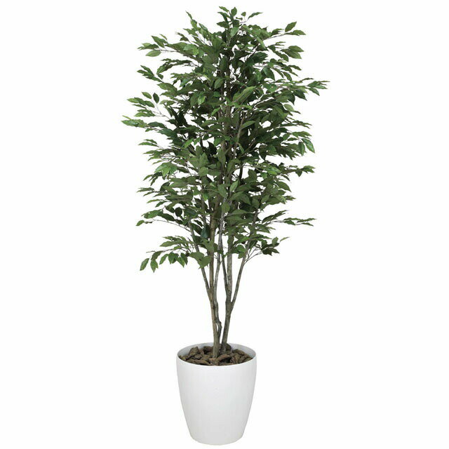 【ポイント3倍 期間限定】【個人様購入可能】●光の楽園 (157K520-38) ベンジャミンツリー1.8 送料無料 92344