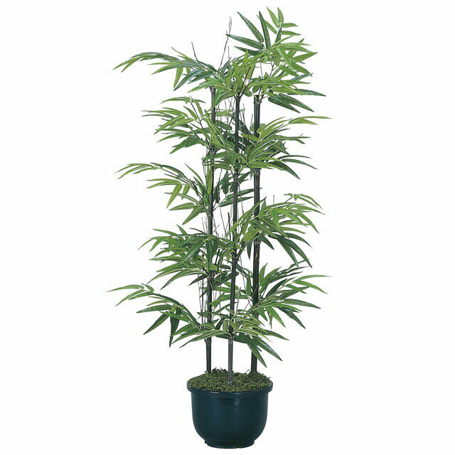 【個人様購入可能】●光の楽園 (176K125-33) 黒竹1.0（幹:天然黒竹） 送料無料 92397