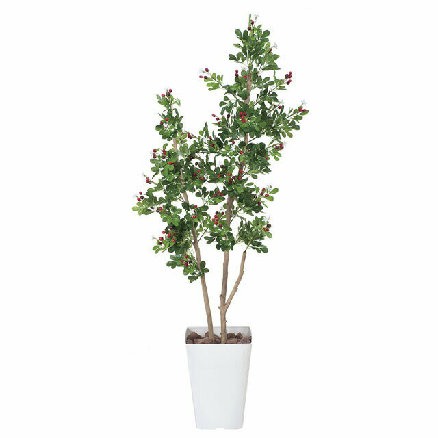 【個人様購入可能】●光の楽園 (366C220-57) ハックルベリー1.25 送料無料 92467