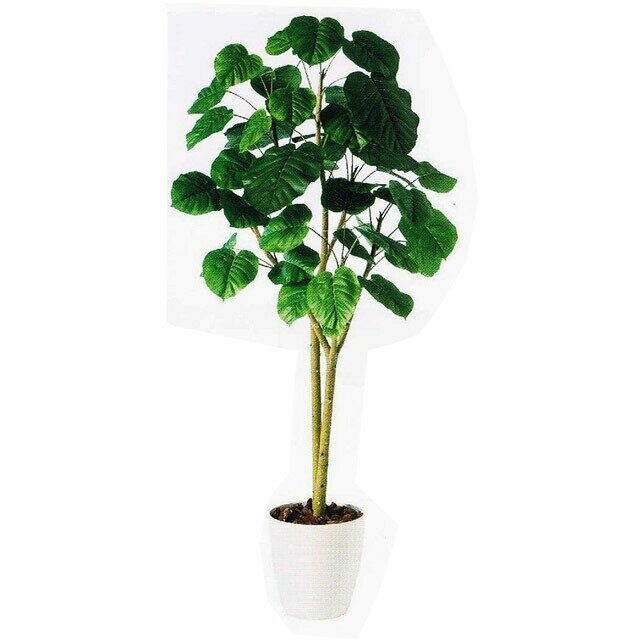 【個人様購入可能】●【98501】 人工観葉植物 ウンベラー2本立 1.8m 送料無料 92887