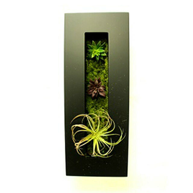 【個人様購入可能】● 【woodpeckge-1】 ボタニカ 送料無料 92939