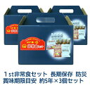 【法人・企業様限定販売】 [取寄] ファースト非常食セット(長期保存 賞味期限目安 約5年)×3個セット 送料無料 04913