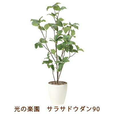 期間限定 ポイント5倍【個人様購入可能】●光の楽園 (827K100-57) サラサドウダン 90 送料無料 99550