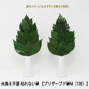 【ポイント5倍 期間限定】【個人様購入可能】●(郵送) 水換え不要 枯れない 榊 プリザーブド 榊 M(1対) サカキ さかき プリザーブド おさかき お榊 プ...