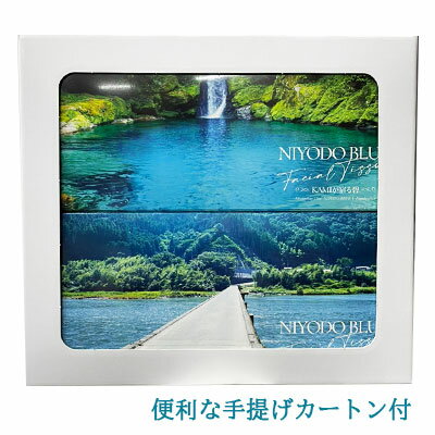■サンキョウプラ ひも付規格袋 12号 100枚 0.030mm厚 透明 FCH12(6300664)×40[送料別途見積り][法人・事業所限定][掲外取寄]