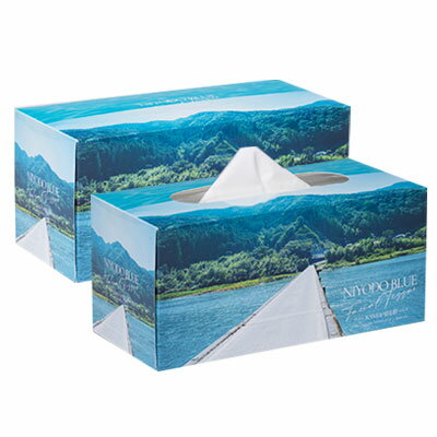 ■サンキョウプラ ひも付規格袋 12号 100枚 0.030mm厚 透明 FCH12(6300664)×40[送料別途見積り][法人・事業所限定][掲外取寄]