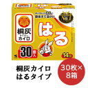 【ポイント5倍 期間限定】【法人・企業様限定販売】 小林製薬 桐灰 カイロ 貼る 30枚×8箱 使いすてカイロ 送料無料 06069