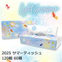 【個人様購入可能】● イトマン 2025 サマー ティッシュペーパー 240枚 120組 60箱 夏 限定 さわやか (20120149) 送料無料 70441