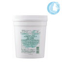 ナプラ アクセスフリー パウダー ブリーチ 500g【送料無料】(佐川急便 SGW)(WHS1400)