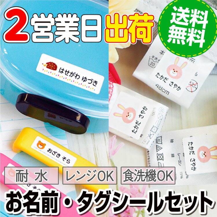 お名前シール タグ用シール バズライトイヤー ディズニー 2点セット 防水 耐水 食洗機 レンジ ノンアイロン 送料無料 PR入園 入学 キャラクター お祝い 名入れ 幼稚園 保育園 楽天 お名前付け 名前しーる ブランド おしゃれな印刷【Disneyzone】