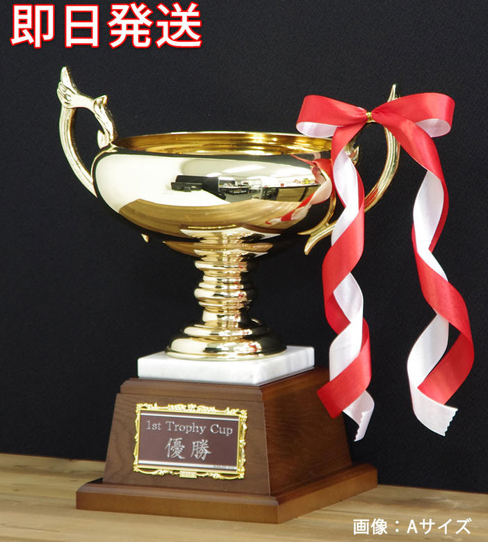 楽天市場 トロフィー 楯 メダル 優勝カップの専門店 トロフィーのファーストトロフィー トップページ