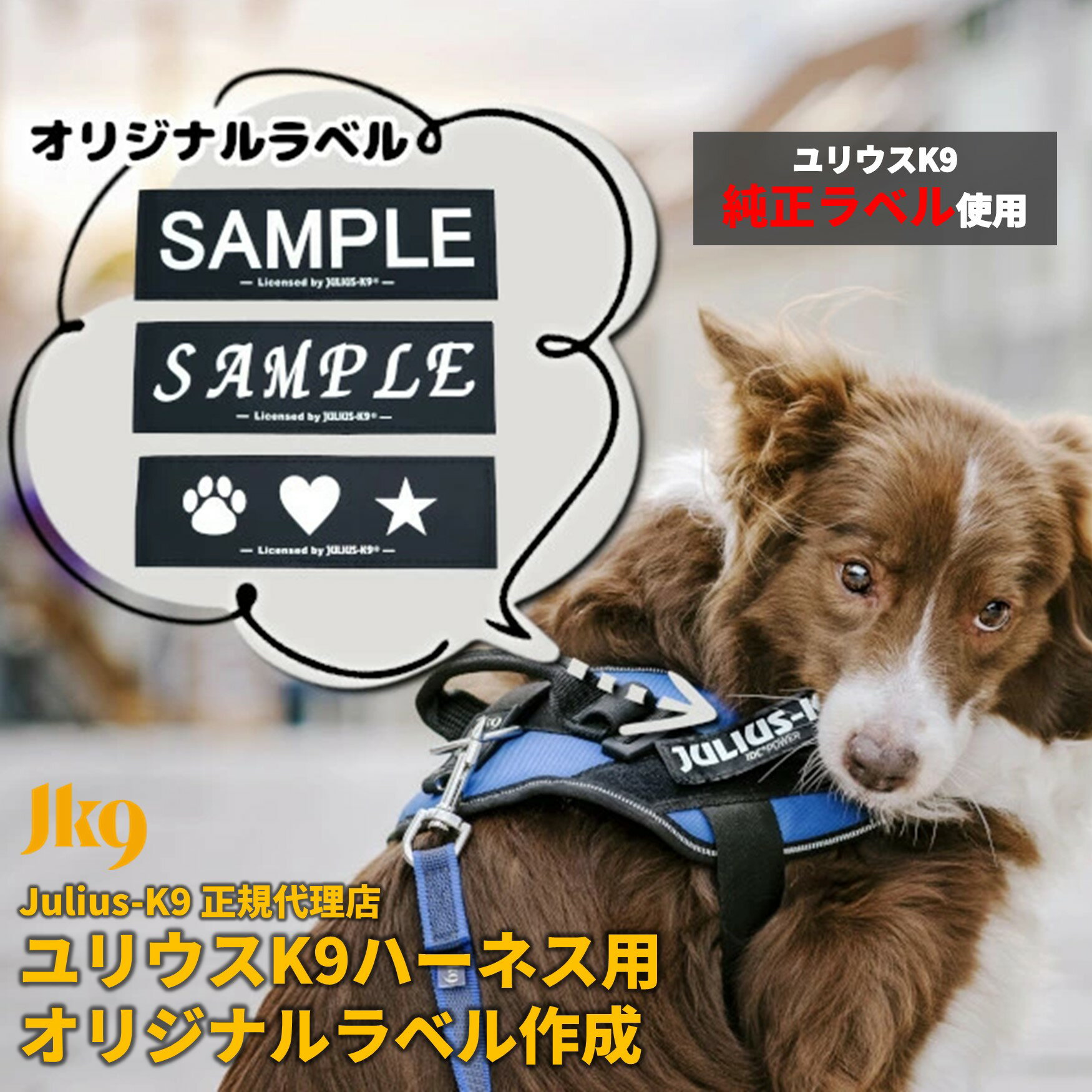 犬 首輪 ハーネス用 名札 平面仕様 ネームプレート IDタグ 2タイプ 3サイズ展開 ステンレス製 ペット用品 迷子札 名入れ 刻印