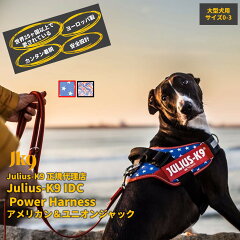 https://thumbnail.image.rakuten.co.jp/@0_mall/1stdogcafe/cabinet/07571989/08045547/09963805/imgrc0099185205.jpg