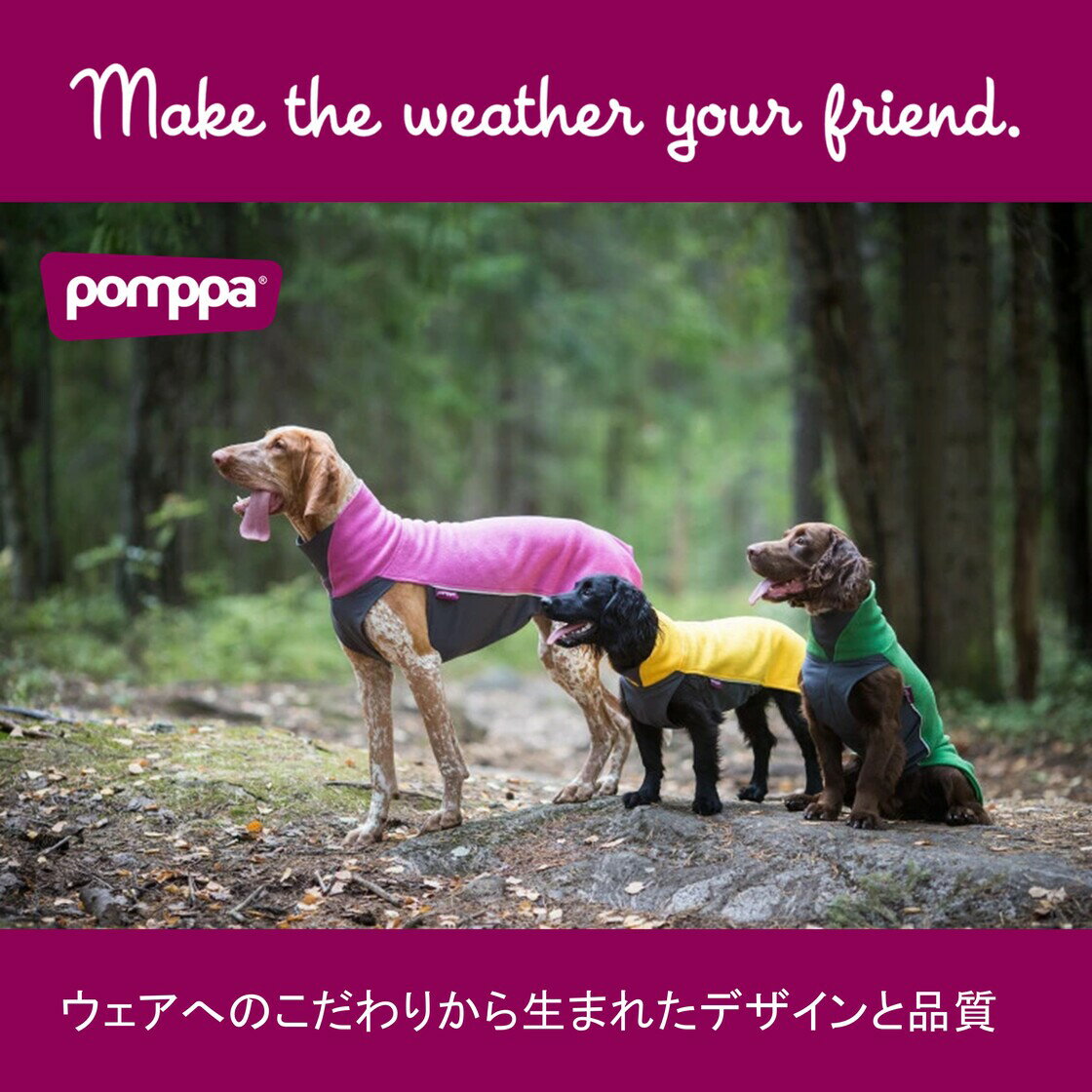 フィンランドのドッグブランド【Pomppa】史...の紹介画像3