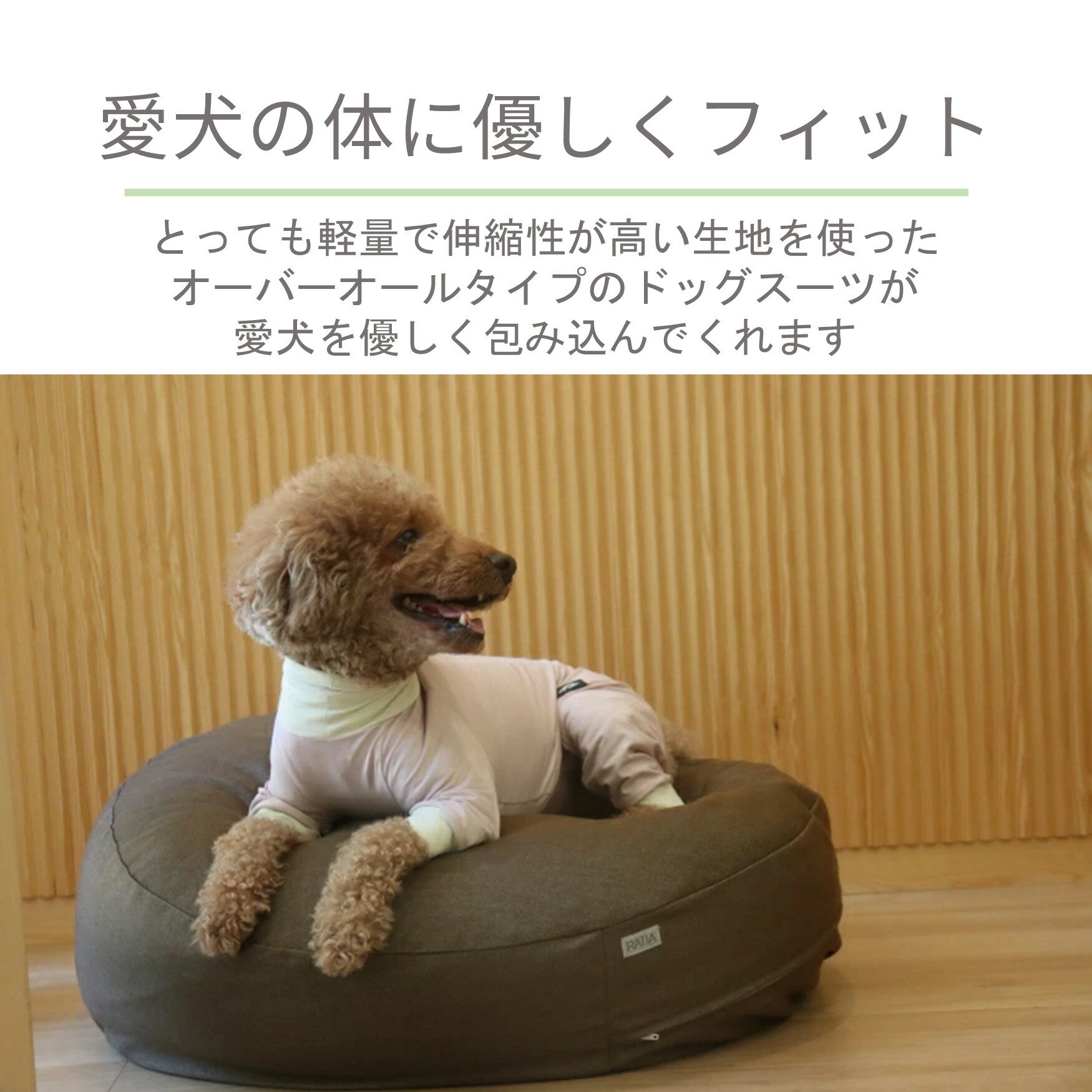 [Hakusan]愛犬の体に優しくフィットする軽量オーバーオール【エアメッシュドッグスーツ】 3