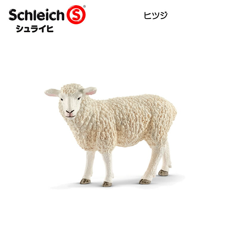 製品画像：30位