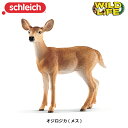 オジロジカ(メス) 14819 動物フィギュア ワイルドライフ シュライヒ 在庫限り 赤字価格