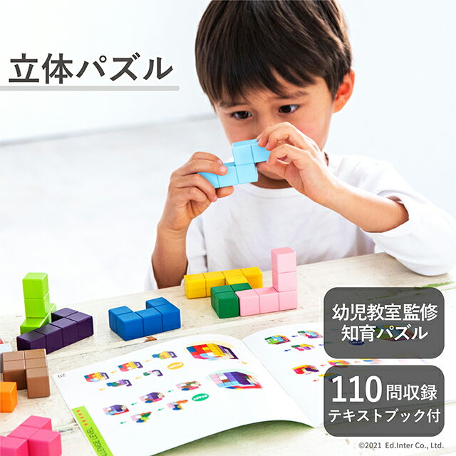 立体パズル エドインター 知育玩具 木製玩具 木製ブロック おもちゃ 型はめ 子ども玩具 ブロック遊び 入園祝い 誕生日プレゼント 知の贈り物シリーズ 1