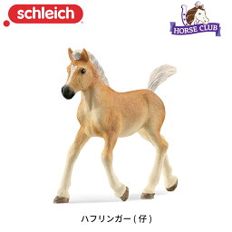 ハフリンガー (仔) 13951 動物 馬 フィギュア ホースクラブ ジオラマ シュライヒ Schleich