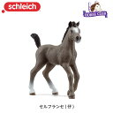 セルフランセ (仔) 13957 動物 馬 フィギュア ホースクラブ ジオラマ シュライヒ Schleich