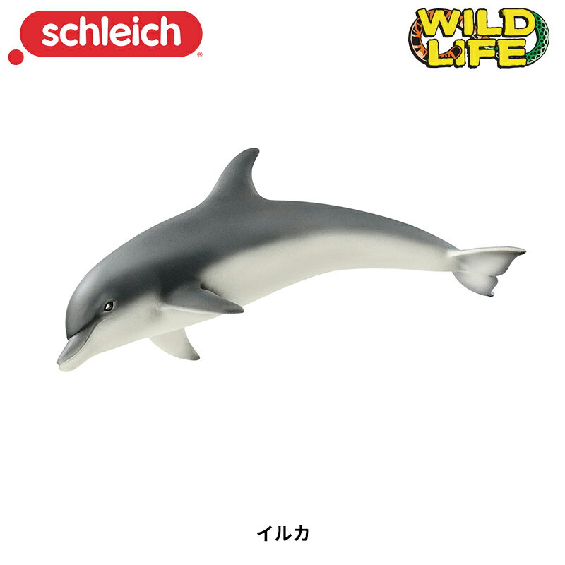 イルカ 14808 動物 フィギュア ワイルドライフ ジオラマ シュライヒ Schleich