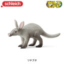 ツチブタ 14863 動物 フィギュア ワイルドライフ ジオラマ シュライヒ Schleich