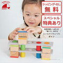 【おまけ付き】フィールグッドキューブス ポトン 知育玩具 ブロック遊び 積み木 ポットンおとし エドインター 木のおもちゃ かわいい おしゃれ おすすめ 誕生日...