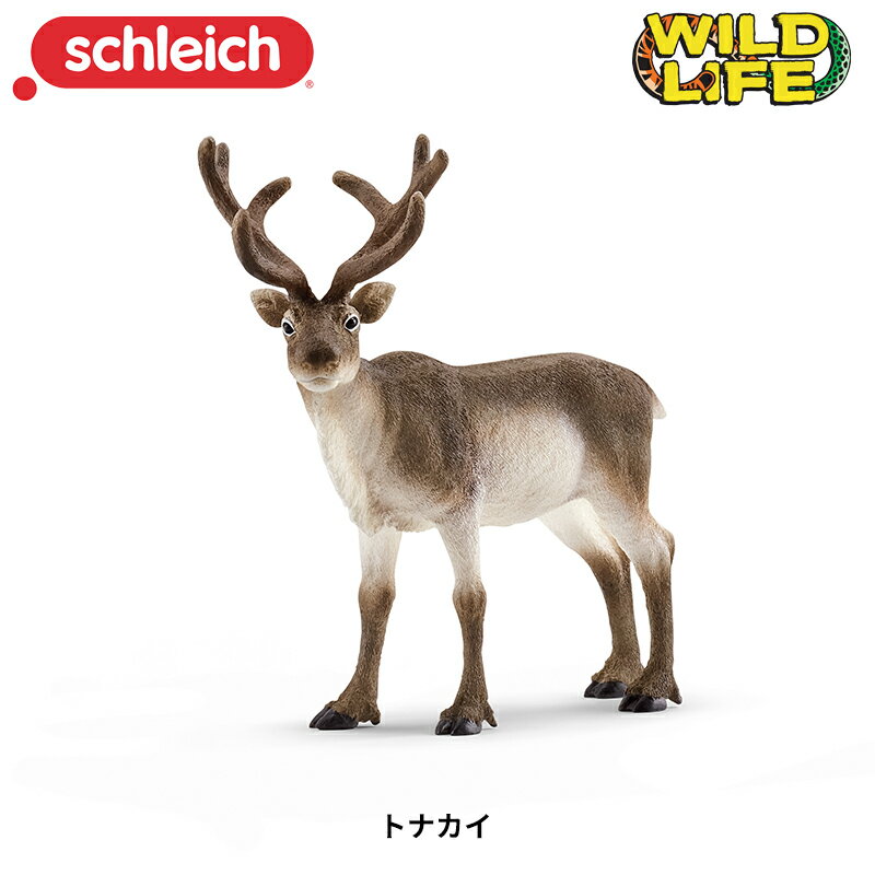 Rakuten - トナカイ 14837 動物 フィギュア ワイルドライフ アニマル シュライヒ Schleich