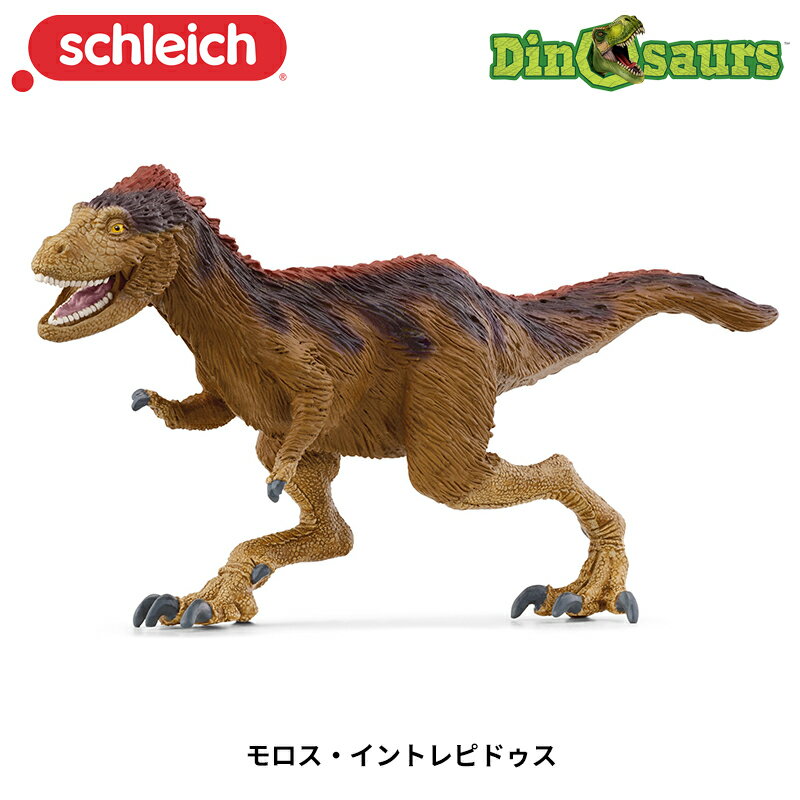 モロス・イントレピドゥス 15039 恐竜 フィギュア ディノサウルス ダイナソー シュライヒ Schleich