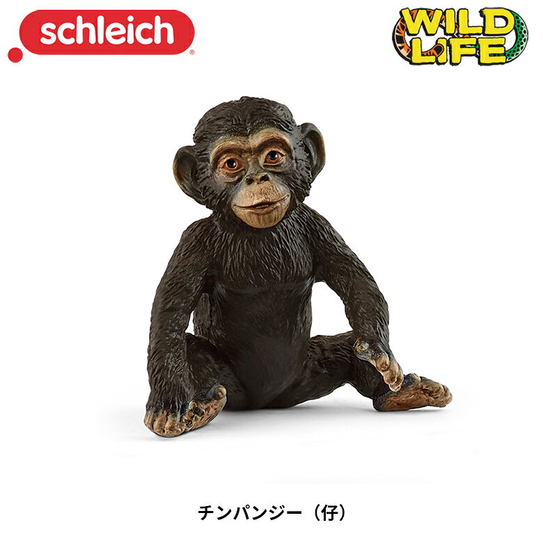 シュライヒ チンパンジー キーホルダー 動物フィギュア 楽天市場】Schleich シュライヒ チンパンジー 仔の通販