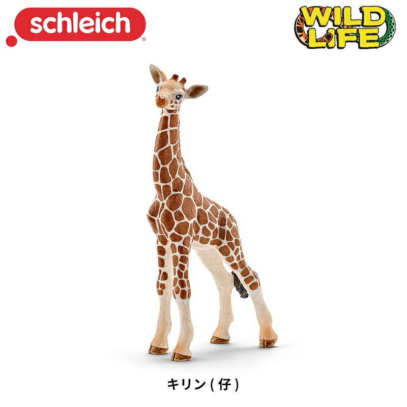 キリン 仔 14751 動物フィギュア ワイルドライフ シュライヒ