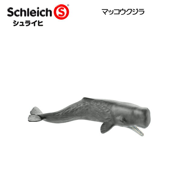 マッコウクジラ 14764 動物フィギュア ワイルドライフ シュライヒ