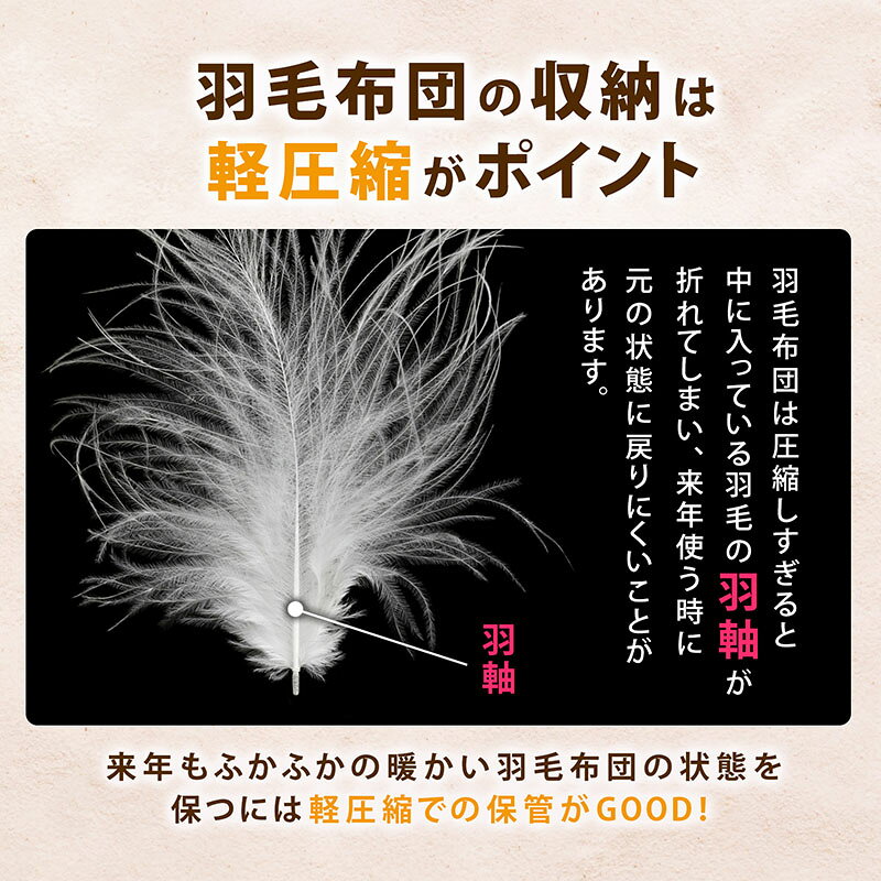 羽毛布団 収納袋 収納ケース 収納ボックス ベージュ 2個組 シングルサイズ 不織布 軽圧縮 優しく圧縮 圧縮袋 透明窓 積み重ね 折りたたみ 布団 寝具 毛布 ダウン 保管袋 保管ケース クローゼット 押入れ ベッド下 アストロ 131-45 1storage-10001877 アストロ Official Shop サンプル画像3