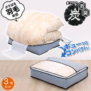 【店内最大20%OFFクーポン6/30限定】布団収納袋 布団収納 羽毛布団 収納ケース 収納ボックス 収納袋 布団ケース 活性炭消臭 グレー シングル 軽圧縮 不織布 ホコリよけ 汚れ防止 布団袋 羽毛布団収納 透明窓付き 保管ケース クローゼット 押入れ アストロ 171-41_3set